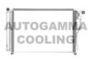 AUTOGAMMA 104904 Condenser, air conditioning